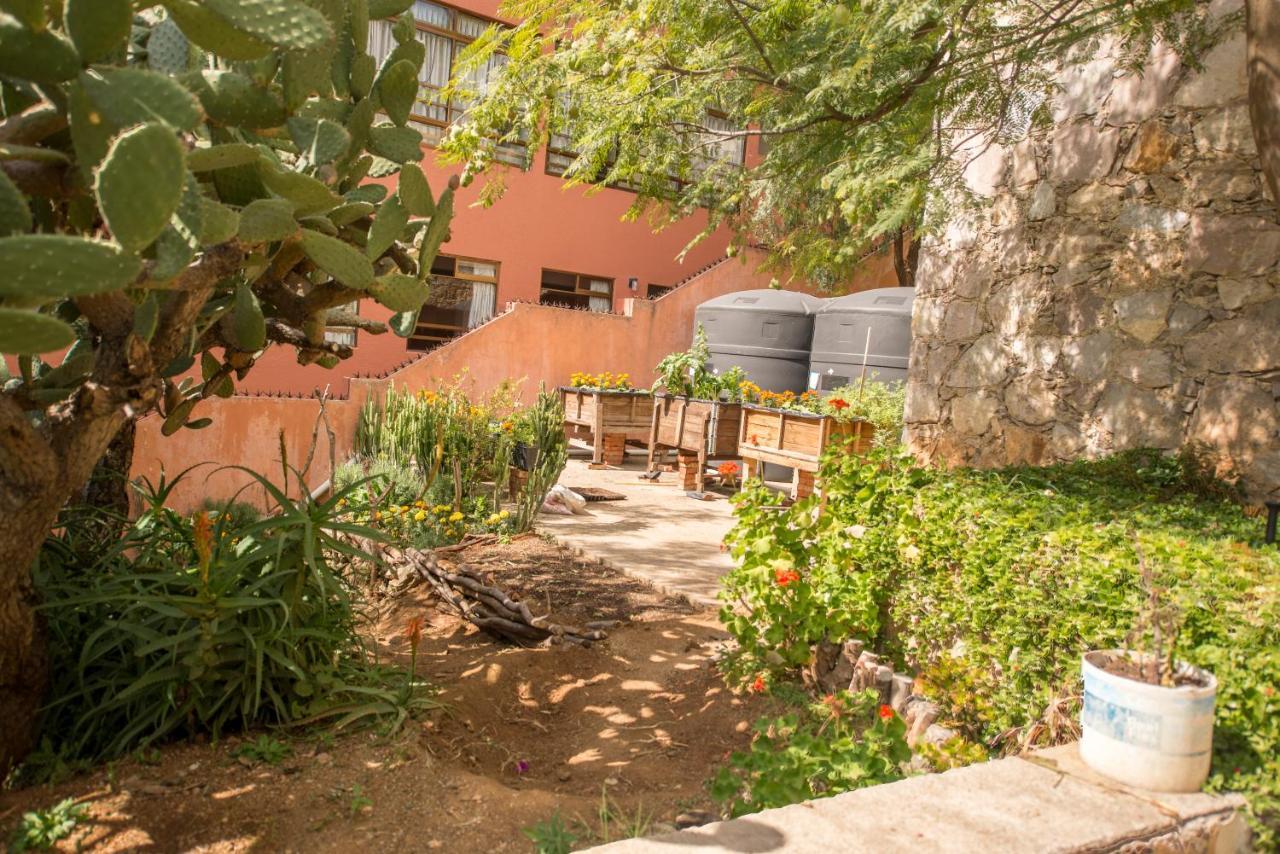 גואנאחואטו Casa Estrella De La Valenciana Hotel Boutique מראה חיצוני תמונה
